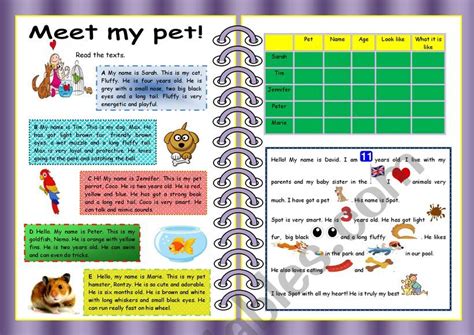Meet My Pet Esl Worksheet By Ruxa80