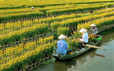 Cai Mon Orchard Kingdom Of Bonsai In Ben Tre Is A Popular Destination In A Mekong Delta Tour