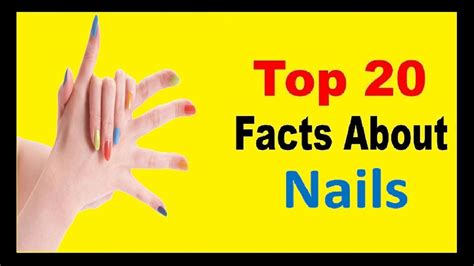 Nails Facts Youtube