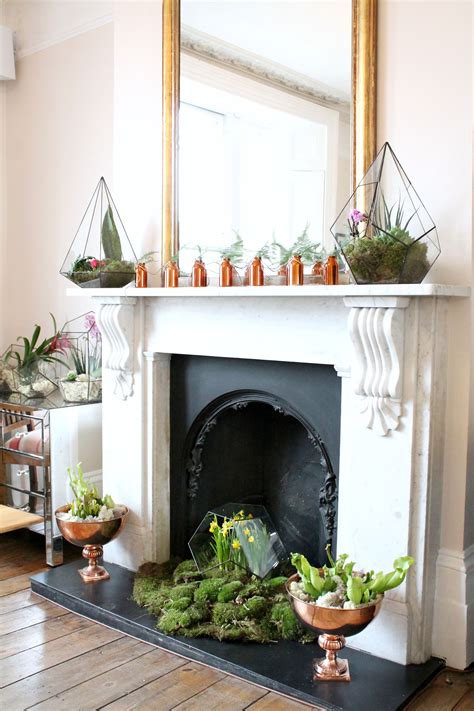 Fireplace Is Transformed Into An Oasis Of Botanics Terrariums By The