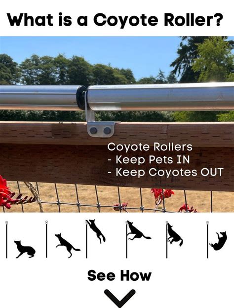What Is A Coyote Roller Coyote Rollers Diy Doggie Door Dog Door