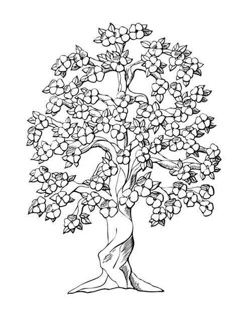 Free for commercial use no attribution required high quality images. Free Printable Tree Coloring Pages For Kids