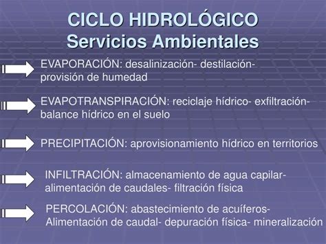 Ppt Ciclo HidrolÓgico Powerpoint Presentation Free Download Id183048