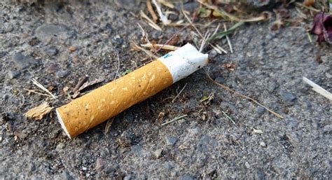 fines kick in for the arbitrary dropping of cigarette butts portugal resident