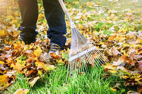 Winterizing Done Right How To Prepare Your Yard