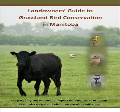 New Landowners Guide To Grassland Birds In Manitoba Manitoba