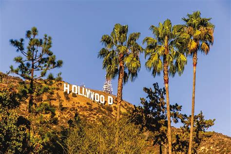 La Los Angeles California Hollywood Hollywood Hills Hills Plant