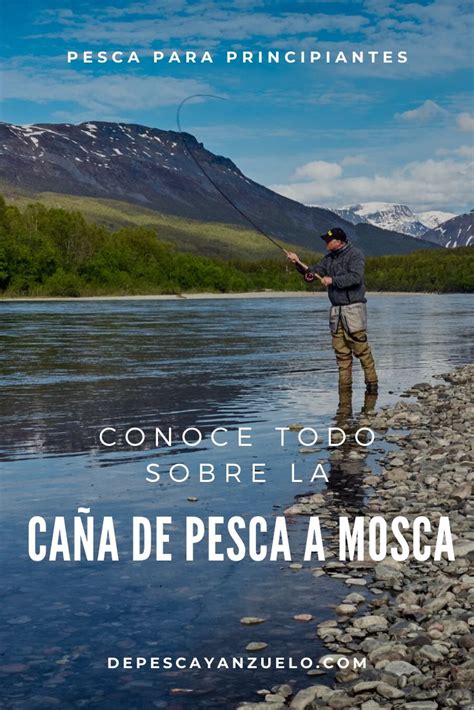 Guía Definitiva La Caña De Pesca A Mosca De Pesca And Anzuelo Pesca