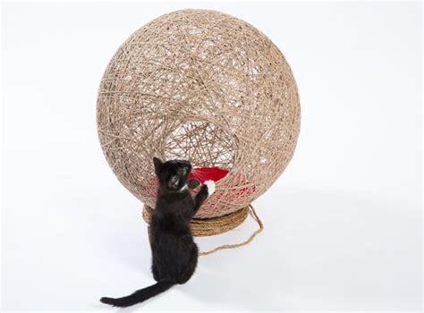The Cat Shelter Design Competition That Raised Money To Help Animals