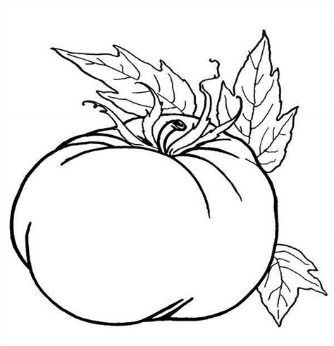 Coloring pages with pictures of pumpkins can make interesting holiday projects as well. 9+ Pumpkin Coloring Pages - JPG, AI Illustrator Download ...