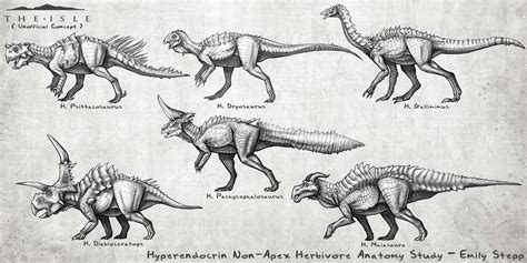 Hyperendocrin Anatomy Studies By Emilystepp On Deviantart