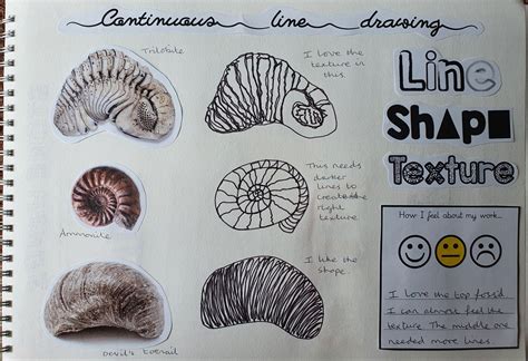 Fossils Continuous Line Sketchbook Page Sketch Book Sketchbook Pages