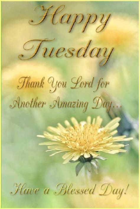 Happy Tuesday Thank You Lord Pictures Photos And Images For Facebook