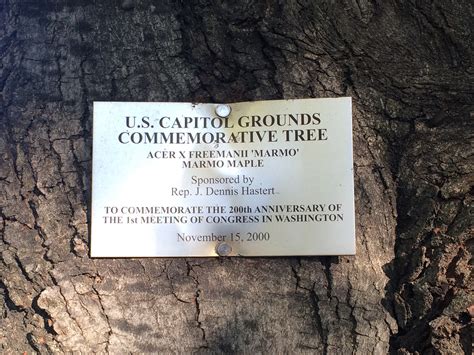 200th Anniversary Of Congress In Washington Tree Architect Of The Capitol