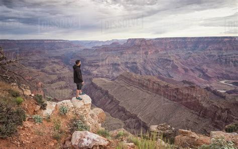 Man Observe Grand Canyon From Mather Point Stock Photo Dissolve
