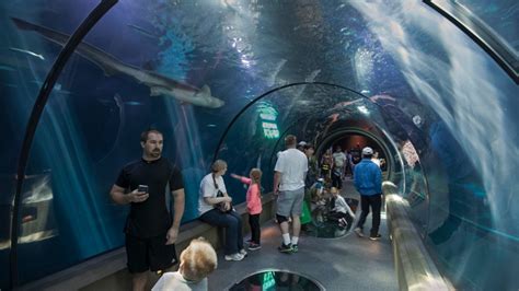 Aquarium With Underwater Tunnel Near Me Aquarium Views