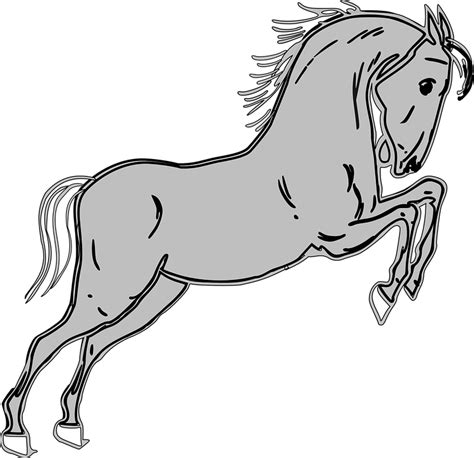 560 Koleksi Gambar Animasi Hewan Kuda Gratis Gambar Hewan