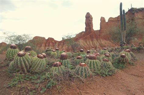 See all books authored by anna kopp, including attack of the griefers, and trapped in the tutorial: Desierto de la Tatacoa - Tomplanmytrip in Colombia