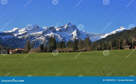 Snow Capped Mountain Range And Green Meadow Stock Image Image Of