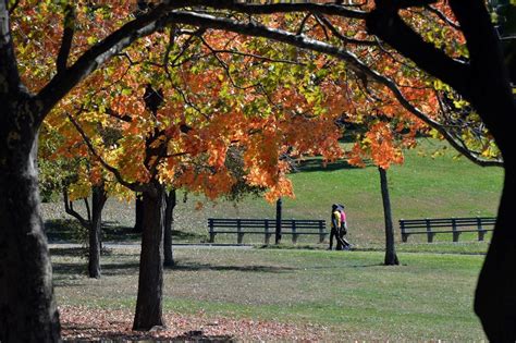 Fall Foliage Staten Islands 11 Best Viewing Spots