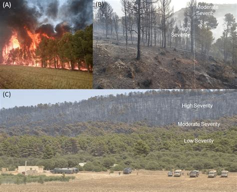 A Ongoing Wildfire Dated July 5 2021 B Juxtaposed Moderate And
