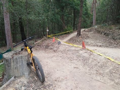 The campground has shady sites with toilets and picnic tables, and fires are allowed. Awaba State Forest - Park | Freemans Waterhole NSW 2323 ...
