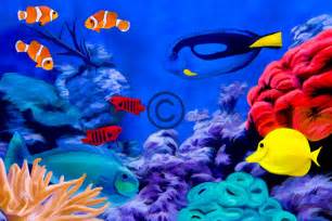 Tropical Fish Aquarium Giclee Fine Art Print On by JPetrillo9