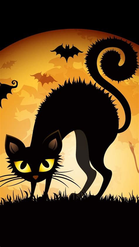 Halloween Cat Black Cat Halloween Hd Phone Wallpaper Peakpx