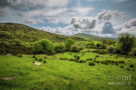 Irish Landscape Photograph By Eva Lechner Fine Art America
