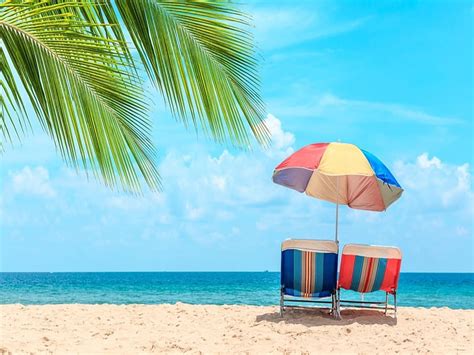 Summer Beach Palm Trees Sea Sunbeds Sky Umbrella Vacation Hd