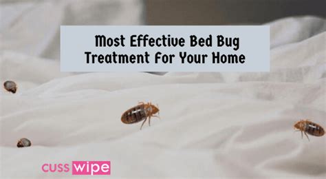 Most Effective Bed Bug Treatment For Your Home Cusswipe