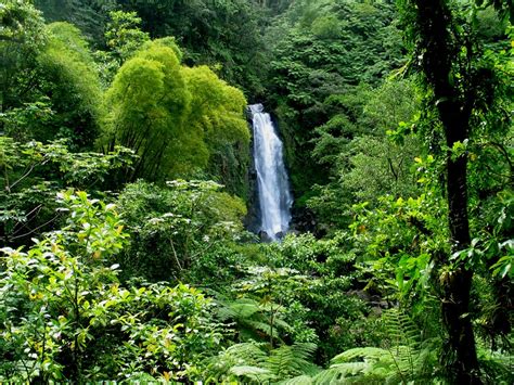 top 10 tourist attractions in nature island dominica caribbean and co