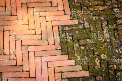 Mossy Diagonal Pattern Of Brick Pavement In A Herringbone Style For