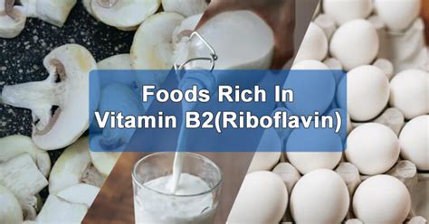 5 Best Foods Rich In Vitamin B2riboflavin The Essential Vitamin