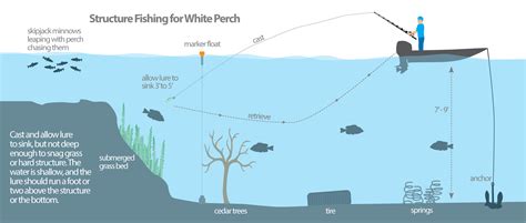 White Perch Are Lake Waccamaws Summer Sensations Learn How To Catch Them