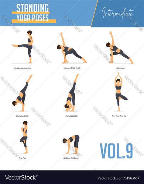 Yoga Poses For Balancing Poses And Standing Poses Vector Image