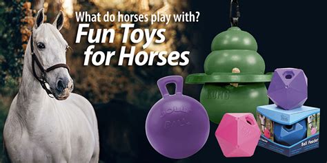 What Do Horses Like To Play With Top Fun Toys For Horses Marys Tack