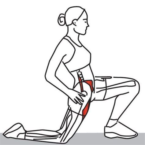 Stretching The Psoas Muscles The Psoas Major And Iliacus Are Considered