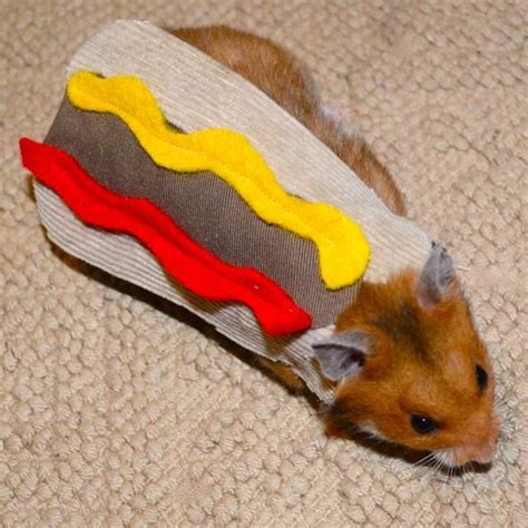 Items Similar To Hamster Hotdog Pet Halloween Costumes By La Marmota