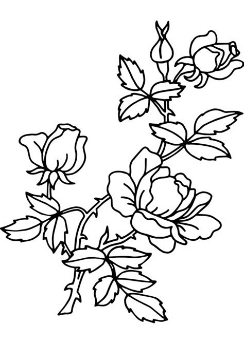 150 Desenhos De Rosas Para Imprimir E Colorirpintar PDMREA