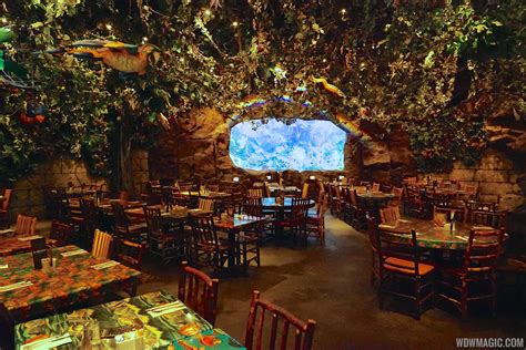 Rainforest Cafe Disneys Animal Kingdom