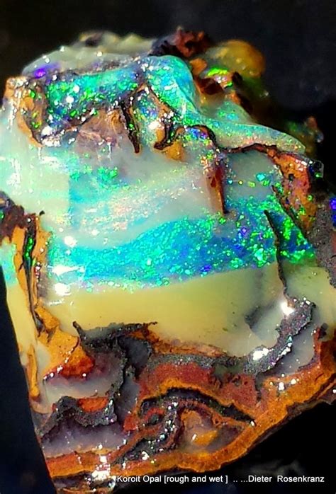A Section Of A Koroit Opal Nut Pretty Rocks Cool Rocks Beautiful