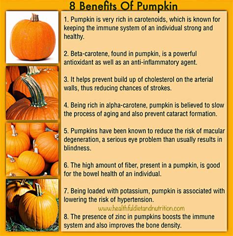 Rainbowdiary Health Benefits Of Pumpkin