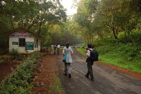 Complete Guide To Exploring Bondla Wildlife Sanctuary In North Goa