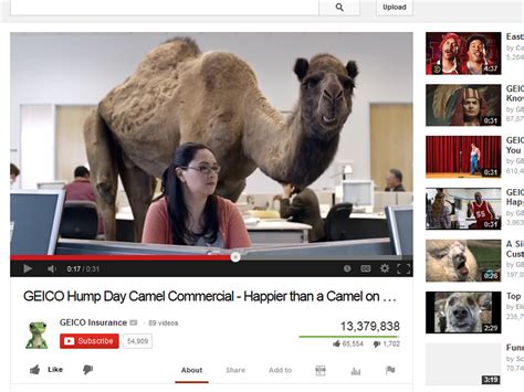 Hump Day Geico Commercial Creators Dish On Ads Success Its