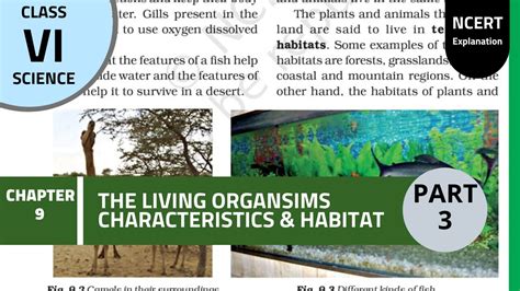 Ncert Class 6th Science Chapter 9th The Living Organisms
