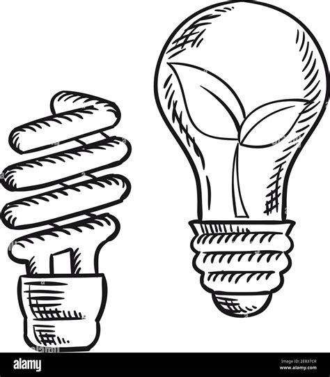 Sketch Of Fluorescent Energy Saving Light Bulb And Old Incandescent