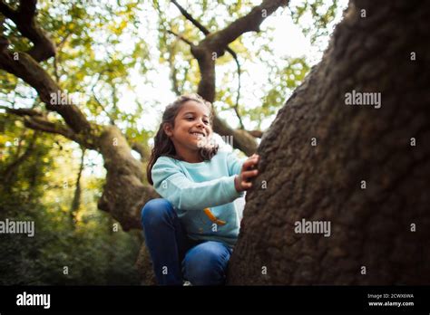 Happy Girl Climbing Tree Stock Photo Alamy