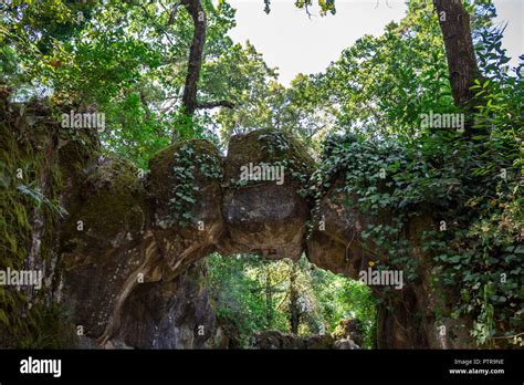 Moss On Stone Bridge Hi Res Stock Photography And Images Alamy