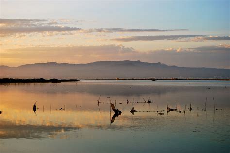 Delta De Lebre Al Baix Ebre Catalunya Catalonia Iberia Catalonia